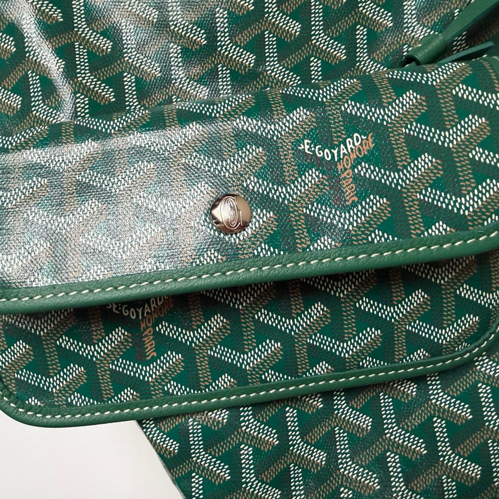 Goyard Green and White Women's Backpack